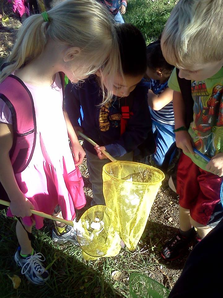 Students on a bug expedition