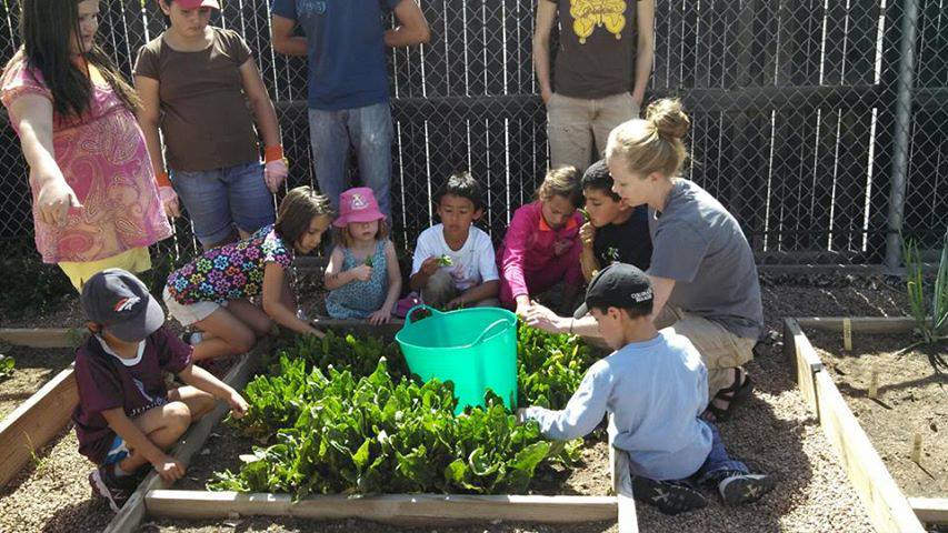 Students and teacher in the school garden