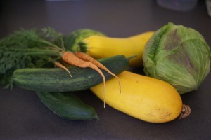 Vegetables from school garden